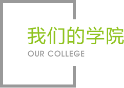 zoty中欧