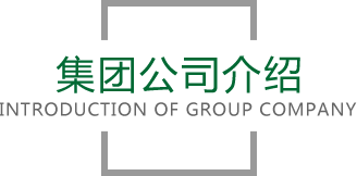 zoty中欧